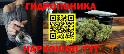 прущие грибы Бийск