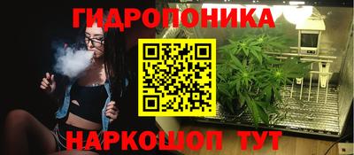 хмурый Камень-на-Оби
