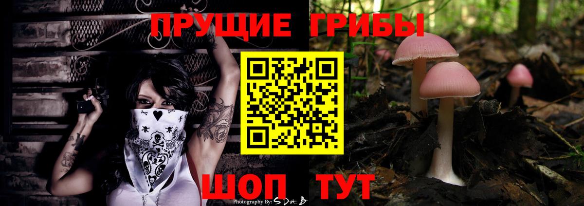 Псилоцибиновые грибы Cubensis  Вход с VPN  Кирово-Чепецк  Галлюциногенные грибы прущие грибы 